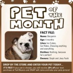 Pet of the Month – March '09